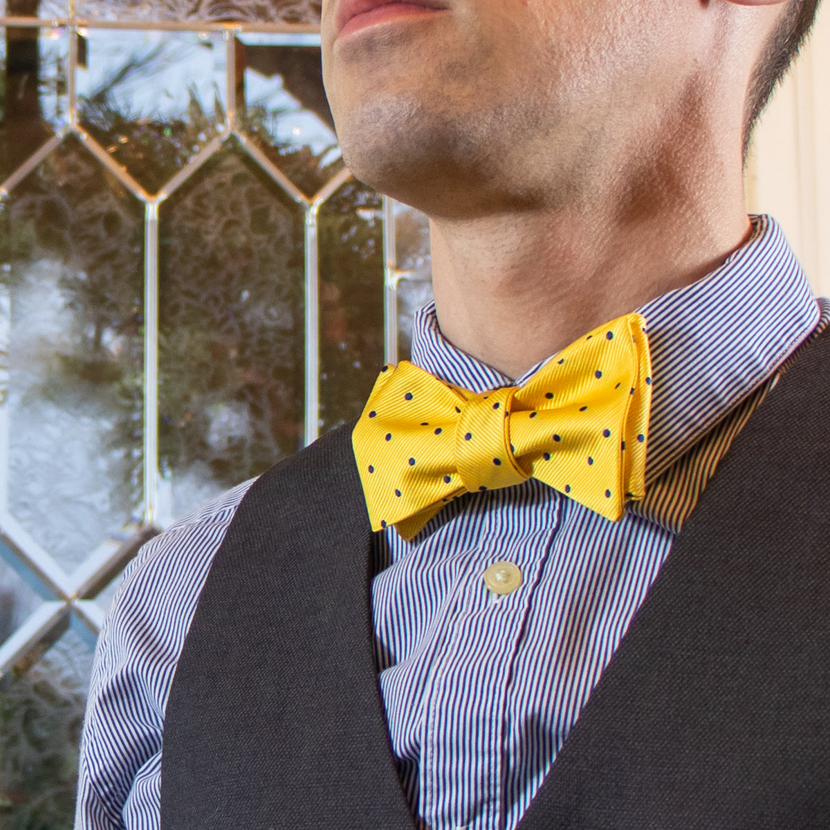 Yellow and navy polka dot bow tie with dress shirt and vest