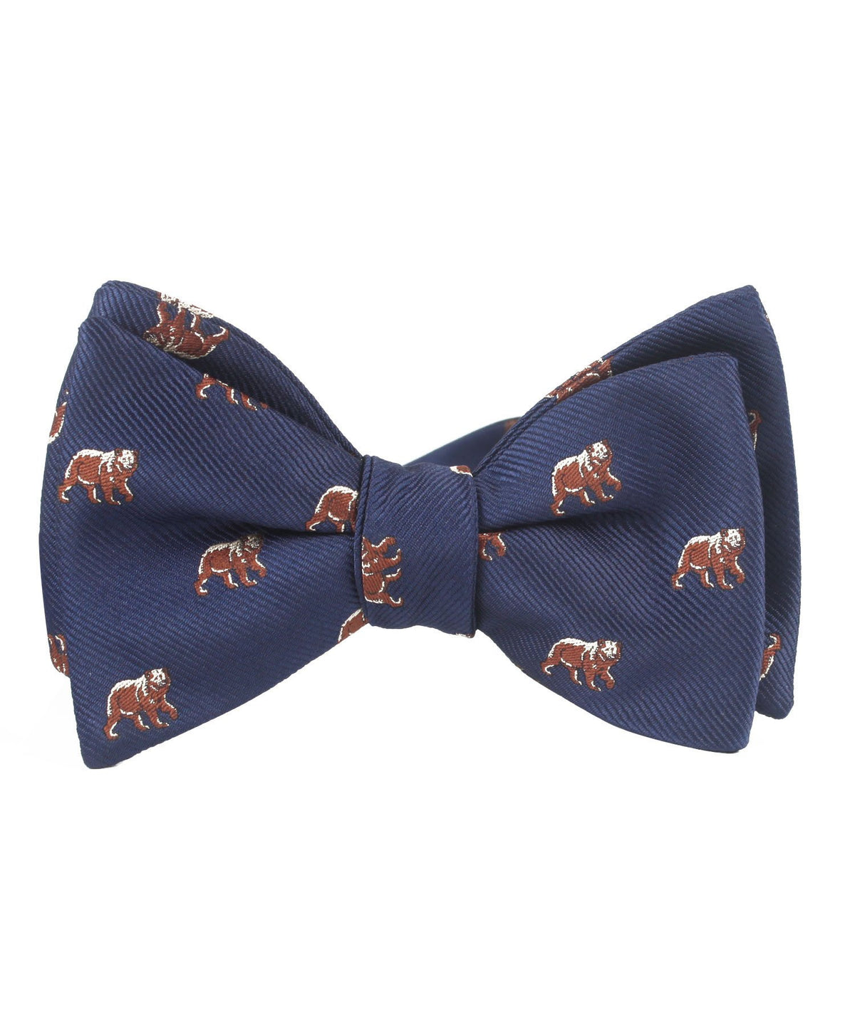 The Bruin Bow Tie - Adult Size - Self-Tie